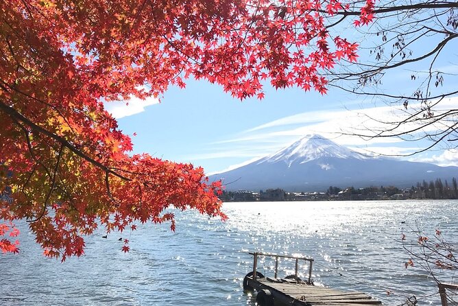 Mount fuji Private Tour - A private road day from Tokyo to Mt. Fuji