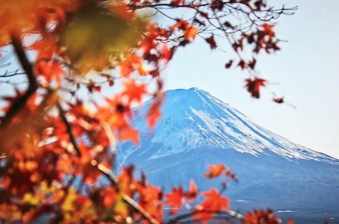 Mount fuji Private Tour - Lake Ashinoko adds Hakone to the day