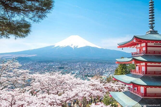 Mount Fuji Sightseeing Private tour w English speaking chauffeur - Shiraito Falls near Fujinomiya