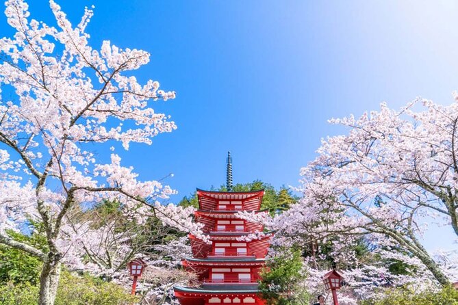 Mt. Fuji 5th, Oshino Hakkai, Onsen Full-Day Trip From Tokyo - Oshino Hakkai and its eight clear ponds