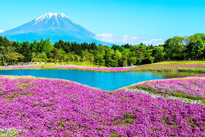 Mt. Fuji 5th, Oshino Hakkai, Onsen Full-Day Trip From Tokyo - Arakurayama Sengen Park in the winter months
