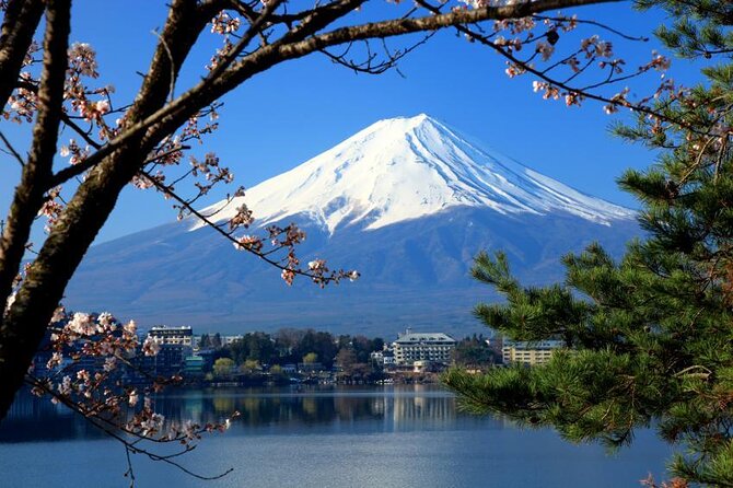 Mt Fuji and Hakone 1-Day Bus Tour Return by Bullet Train - Mt. Fuji 5th Station, the highest practical stop