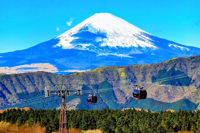 Mt Fuji and Hakone 1-Day Bus Tour Return by Bus - Odawara or Shinjuku: the return is not the same every day
