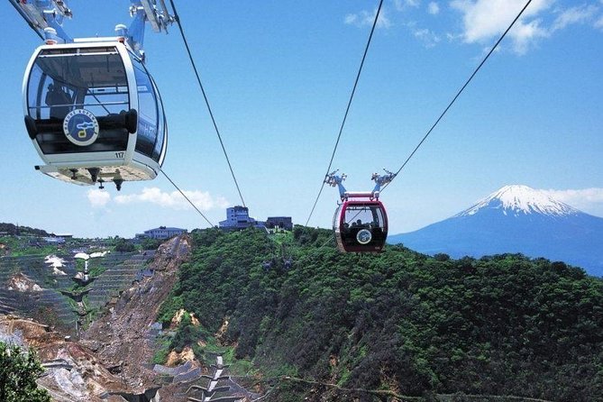 Mt. Fuji and Hakone Day Trip From Tokyo with Bullet Train Option - Meeting at Shinjuku Love