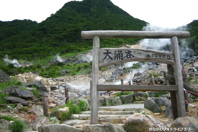 Mt. Fuji and Hakone Day Trip From Tokyo with Bullet Train Option - Hakone Ropeway from Owakudani