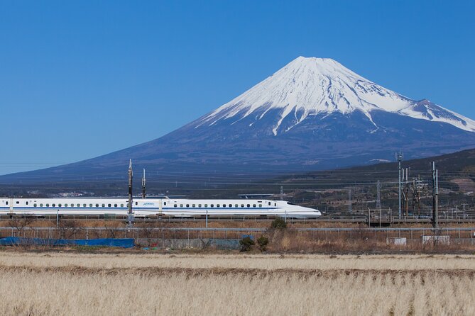 Mt. Fuji and Hakone Day Trip From Tokyo with Bullet Train Option - Mt. Fuji’s 5th Station and the first big view