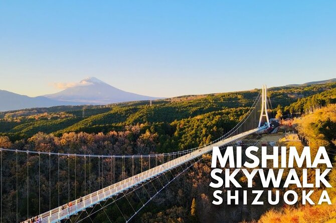 Mt. Fuji and Hakone Private Tour with English Speaking Guide - Why the 10-hour schedule needs careful handling