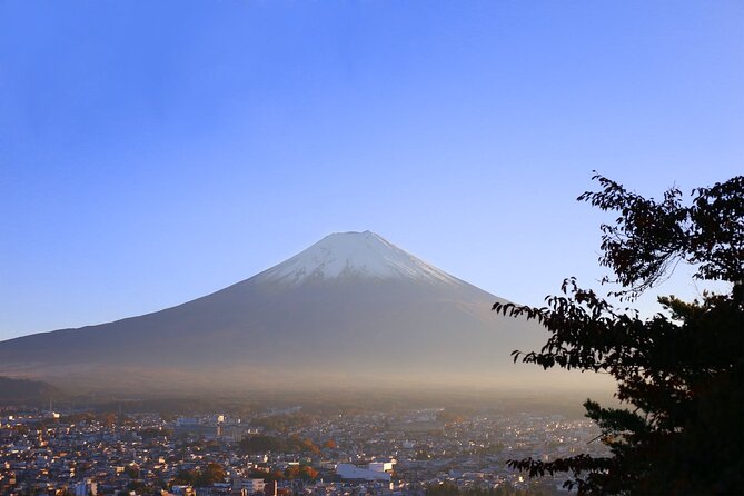 Mt. Fuji and Lake Kawaguchi Day Trip with Private Car - Saiko Iyashi no Sato Nemba and old-style Japan