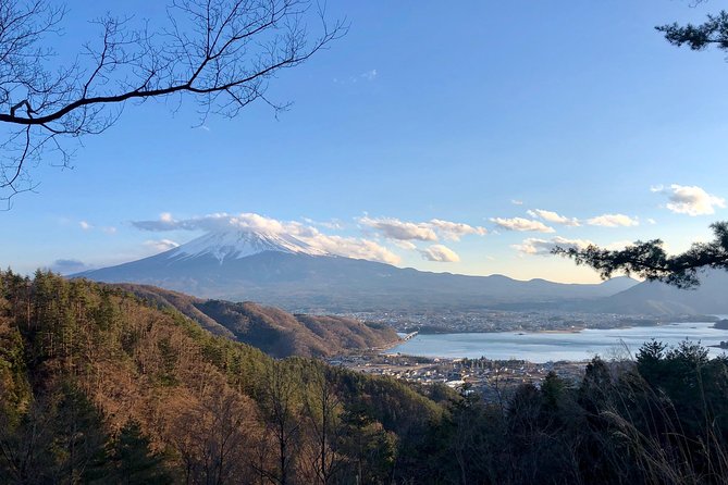 Mt Fuji Area Private Guided Tours in English-Nature up close, quiet, personal - Why a private vehicle matters around Mt. Fuji