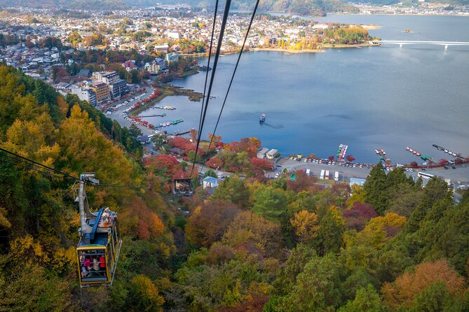 Mt Fuji Customizable Private Tour English Speaking Driver Pick-up - Oishi Park and Lake Kawaguchi views