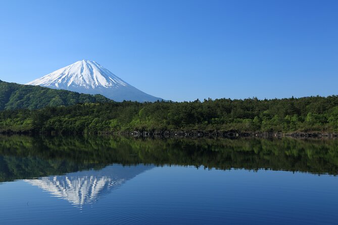 Mt Fuji Customizable Private Tour English Speaking Driver Pick-up - Arakura Fuji Sengen Shrine and Chureito Pagoda