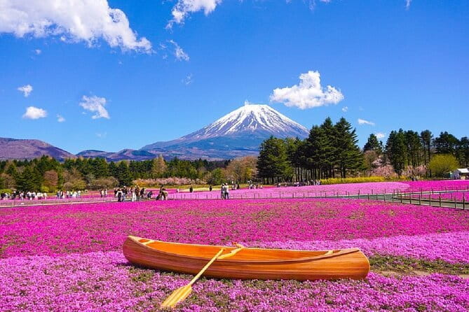 Mt. Fuji Day tour: Kawaguchi Lake Ropeway, Matcha, Oshino Hakkai - What this Mount Fuji day tour actually covers