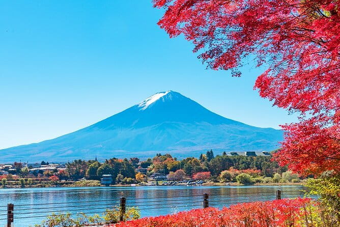 Mt. Fuji Day tour: Kawaguchi Lake Ropeway, Matcha, Oshino Hakkai - Lake Kawaguchi, matcha, and a change of pace