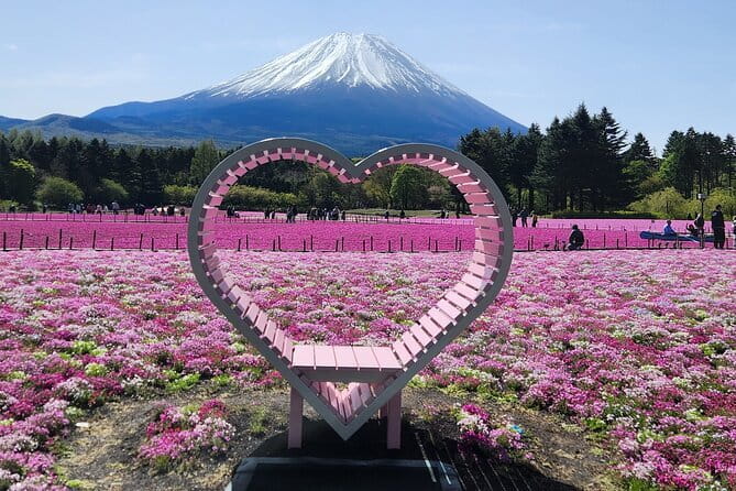 Mt. Fuji Day tour: Kawaguchi Lake Ropeway, Matcha, Oshino Hakkai - The real cost of traffic and crowds