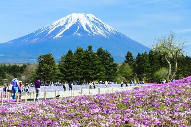 Mt. Fuji Day tour: Kawaguchi Lake Ropeway, Matcha, Oshino Hakkai - The Lawson photo stop near Kawaguchiko Station