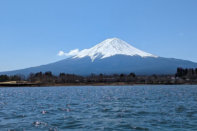 Mt. Fuji Day Trip from Tokyo with English Speaking Driver Guide - Why a private Mt. Fuji day from Tokyo makes sense