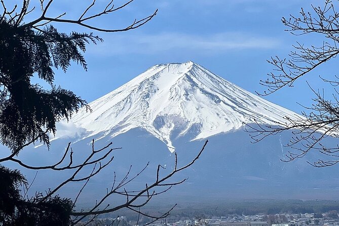 Mt. Fuji Day Trip from Tokyo with English Speaking Driver Guide - Kitaguchi Hongu Fuji Sengen Shrine and the cedar approach