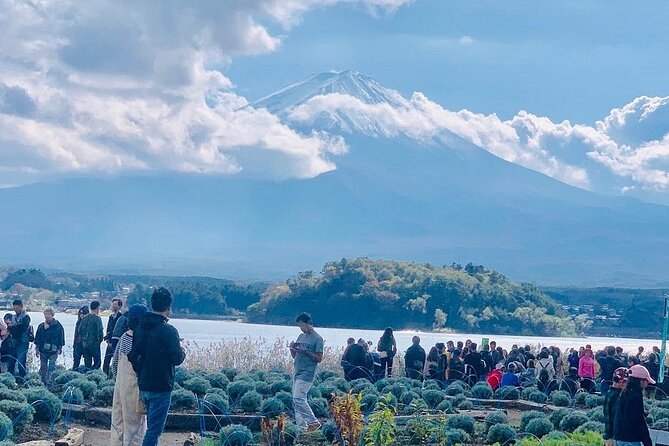 Mt. Fuji Day Trip from Tokyo with English Speaking Driver Guide - Lake Kawaguchiko and Oishi Park for the classic Fuji view