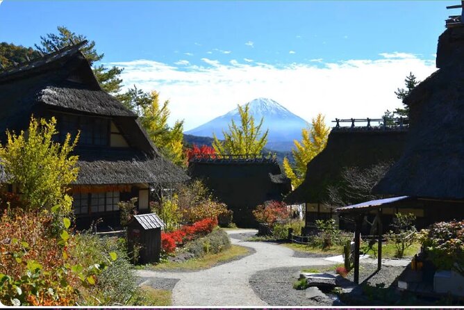 Mt Fuji Exclusive Tour with Private Car English Guide - Saiko Iyashi no Sato Nenba and the optional village stop