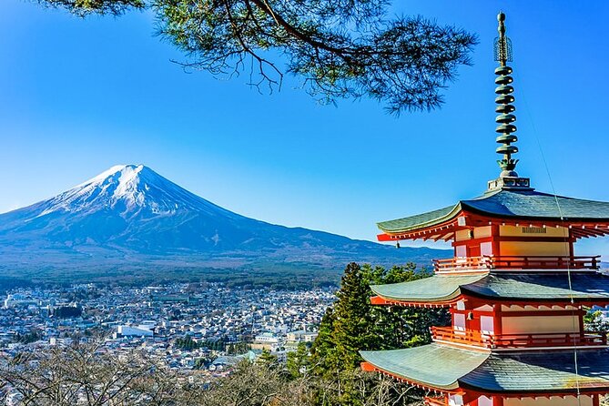 Mt. Fuji Five Lakes Area Private Tour with Licensed Guide(Kawaguchiko area Dep) - Key points before you book