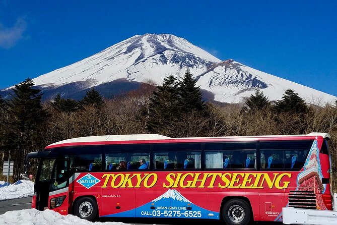 Mt. Fuji & Hakone Bus Tour Bullet Train Return & 28-Hotel Pick-up - Key points at a glance