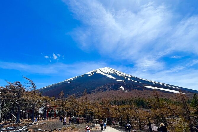 Mt. Fuji & Hakone Bus Tour Bullet Train Return & 28-Hotel Pick-up - What this $145.35 day trip really buys you