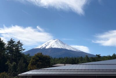 Mt. Fuji & Hakone Bus Tour Bullet Train Return & 28-Hotel Pick-up
