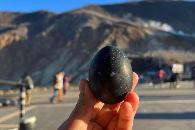 Mt. Fuji & Hakone Cherry Blossom private One Day Tour - One vehicle, several famous Fuji views