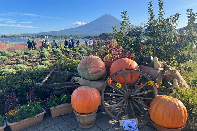 Mt. Fuji & Hakone Cherry Blossom private One Day Tour - Owakudani’s sulfur vents and black eggs