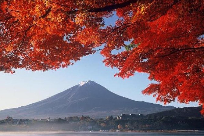 Mt Fuji & Hakone Cruise, Drum Show Bus 1 Day from Tokyo - Up Mt. Komagatake by ropeway