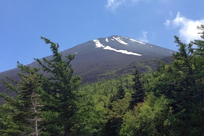 Mt Fuji & Hakone Cruise, Drum Show Bus 1 Day from Tokyo - Weather is part of the bargain