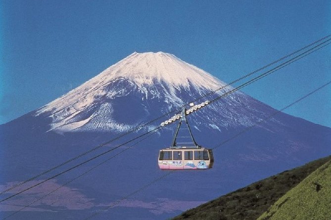 Mt Fuji & Hakone Cruise, Drum Show Bus 1 Day from Tokyo - Who will enjoy this tour most