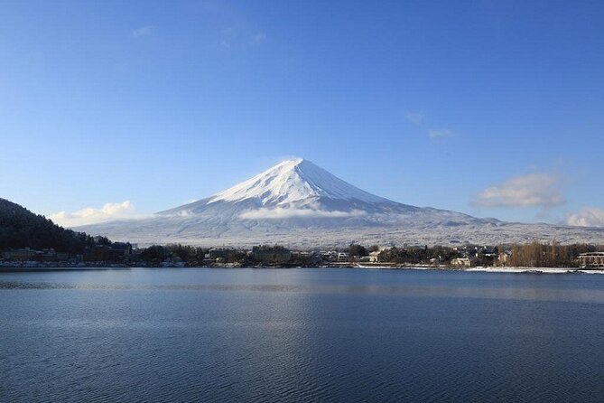 Mt Fuji & Hakone Cruise, Drum Show Bus 1 Day from Tokyo Sta. Area - What this Tokyo day trip really delivers