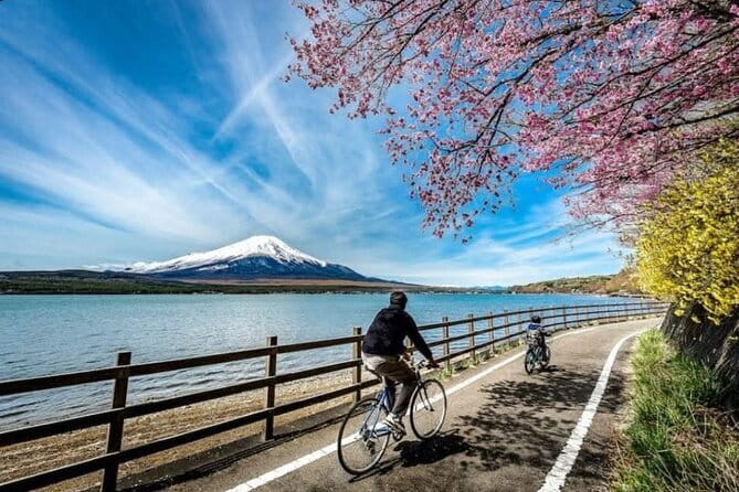 Mt fuji & Hakone customizable day tour w/ English speaking driver - What the $530 group price really buys