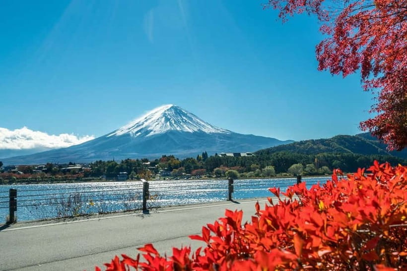 Mt.Fuji Hakone Day Tour With Lake Ashi Cruise, FREE Ropeway - Lake Yamanaka and the swans