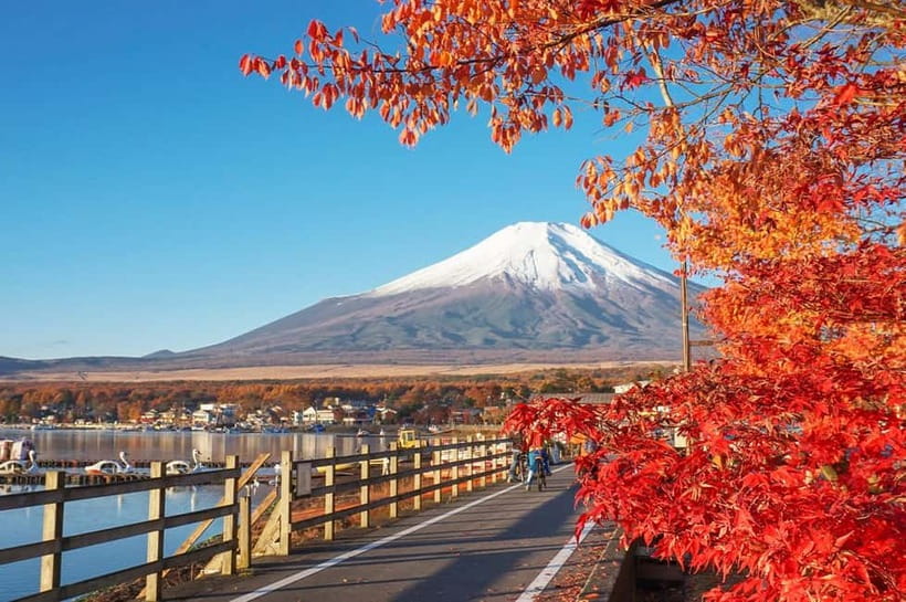 Mt Fuji Hakone/Enoshima Tour:Optional Ropeway/Lake Ashi Boat - A full day linking Hakone and Enoshima