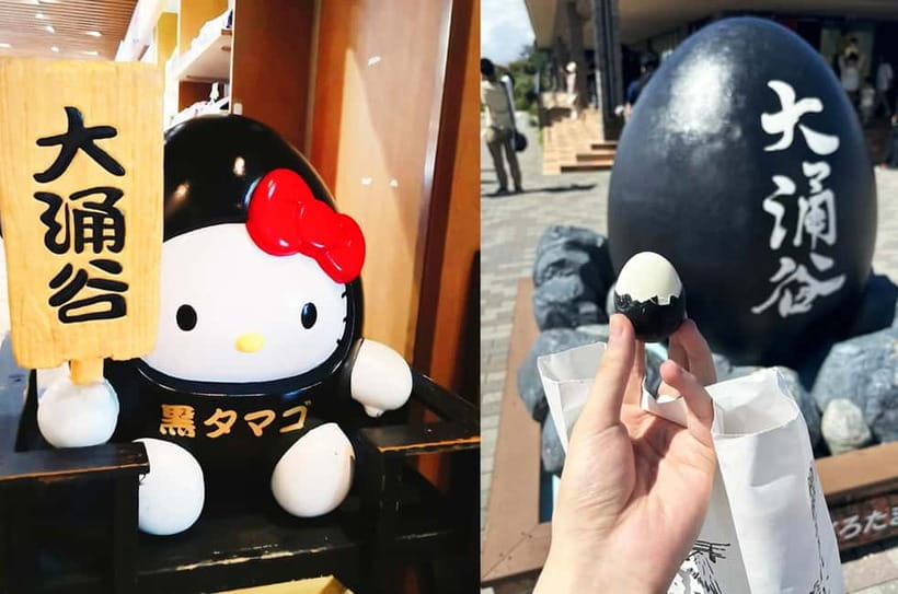 Mt Fuji Hakone/Enoshima Tour:Optional Ropeway/Lake Ashi Boat - Riding above Hakone on the ropeway