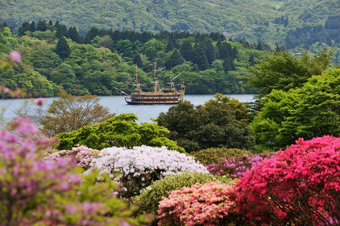 Mt. Fuji & Hakone: Fuji Sengen Shrine, Cruise, and Ramen-Making - Timing, walking, and weather advice