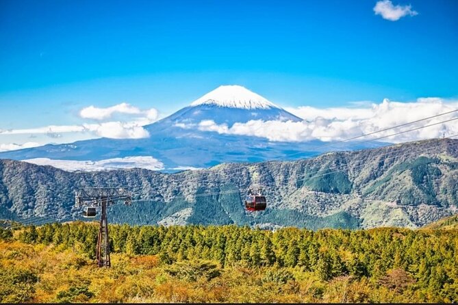 Mt. Fuji, Hakone Full-Day Private Tour with English Driver - Lake Ashi and Hakone’s pirate ship
