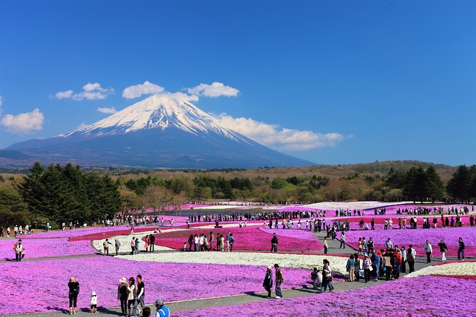 Mt. Fuji, Hakone Full-Day Private Tour with English Driver Guide - What this private Mt. Fuji and Hakone tour really offers