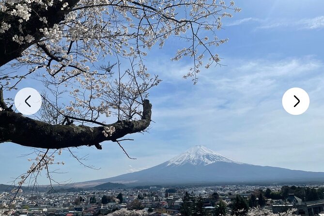 Mt. Fuji, Hakone Full-Day Private Tour with English Driver Guide - Lake Kawaguchiko and the Kachi Kachi view