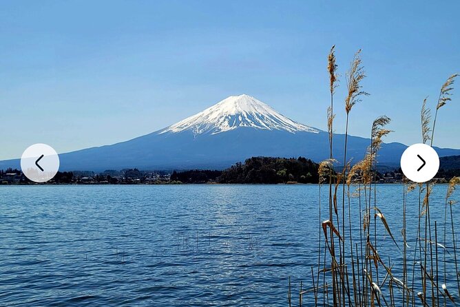 Mt. Fuji, Hakone Full-Day Private Tour with English Driver Guide - Oshino Hakkai and Saiko Iyashi no Sato Nenba
