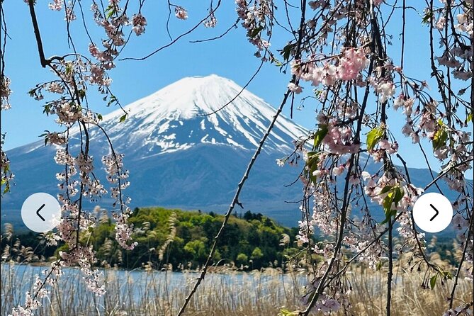 Mt. Fuji, Hakone Full-Day Private Tour with English Driver Guide - Crossing into Hakone: Owakudani and Lake Ashi