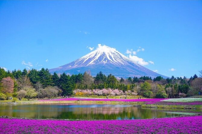 Mt. Fuji, Hakone Full-Day Private Tour with English Driver - Lake Kawaguchiko, lunch, and the Fuji postcard view