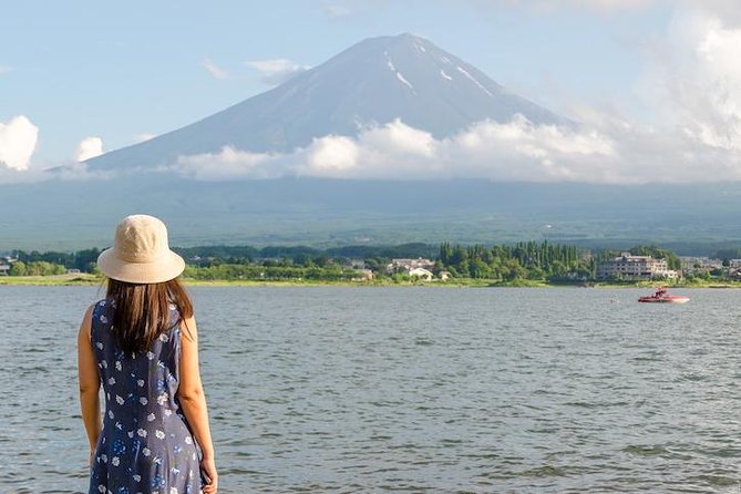Mt. Fuji & Hakone Private Day Tour with English-Speaking Driver - Owakudani Valley and the famous black eggs
