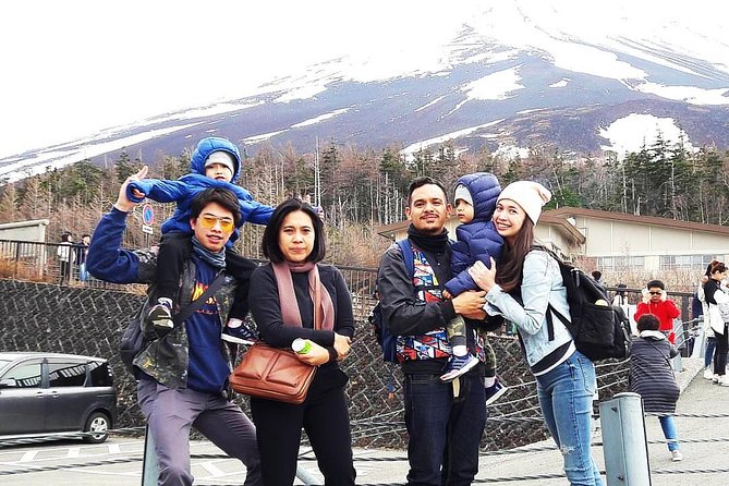 Mt. Fuji & Hakone Private Day Tour with English-Speaking Driver - The Hakone Ropeway from above