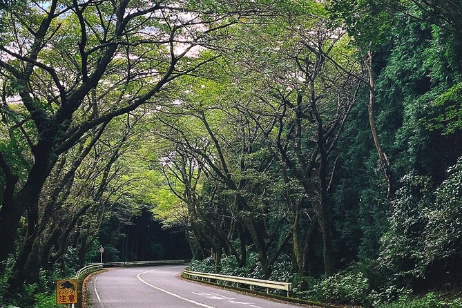 Mt. Fuji, Hakone Private Tour from Tokyo - Onsen, Arts and Nature - Amasake Chaya and the old Tokaido road