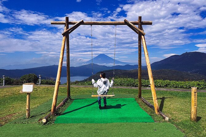 Mt. Fuji, Hakone Private Tour from Tokyo - Onsen, Arts and Nature - Choosing between the Open-Air Museum and the Pola Museum
