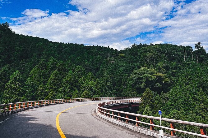 Mt. Fuji, Hakone Private Tour from Tokyo - Onsen, Arts and Nature - Cost, extras, and who gets good value