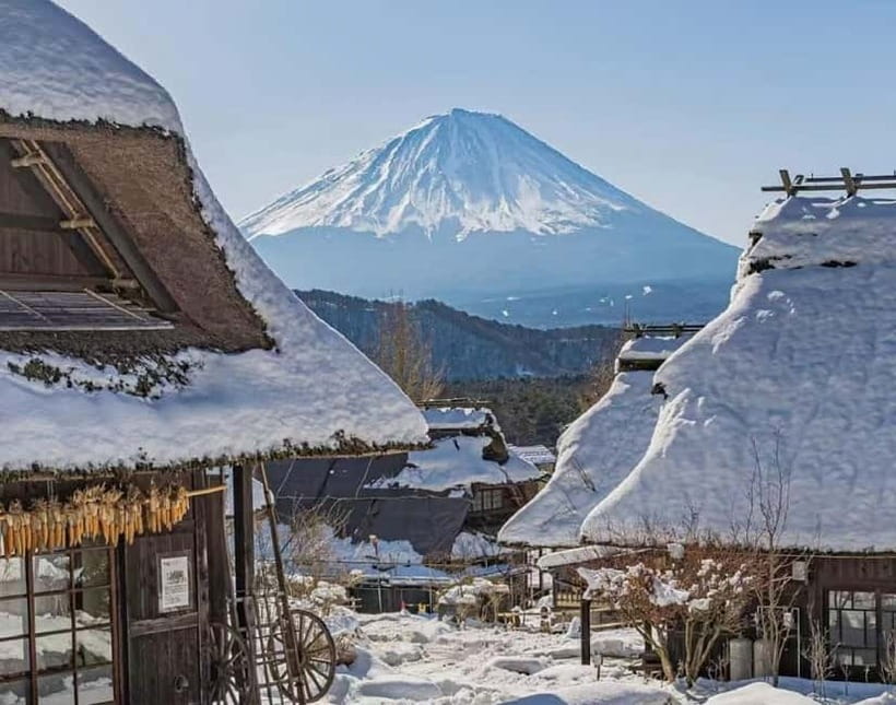 Mt. Fuji Heritage Tour: Traditional Villages, Lakes & Shrine - A long but efficient day from central Tokyo